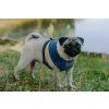 dog harness candy blue bowlandbonerepublic p3 1024x683