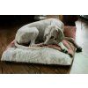dog sleeping bag bliss pink bowlandbonerepublic l2 1024x683