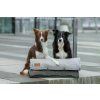 dog mat loft graphite grey bowlandbonerepublic l3
