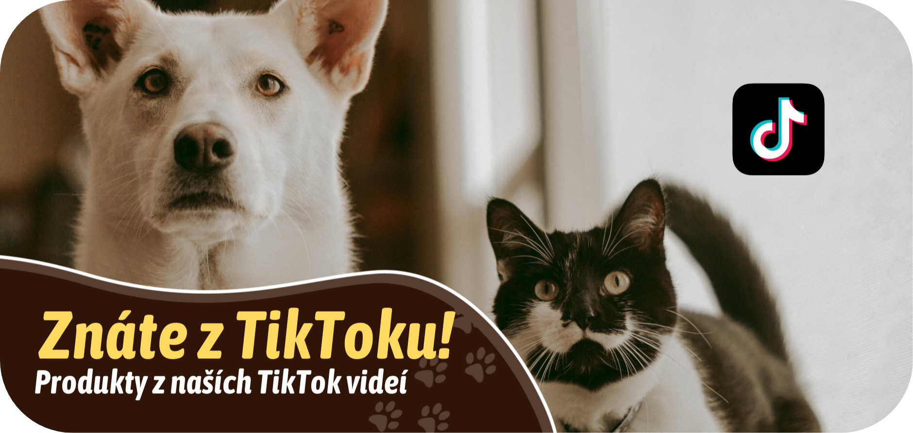pes a kočka. chovatelské potreby, které znáte z tiktoku