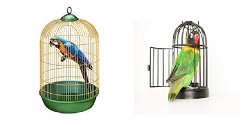 Ako vybrať klietku pre papagája