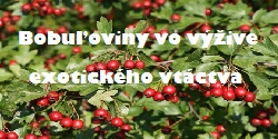 Bobuľoviny vo výžive exotického vtáctva