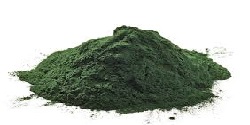 Netradičné doplnky vo výžive exotického vtáctva - chlorella