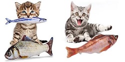 Ryba v mačacom jedálničku