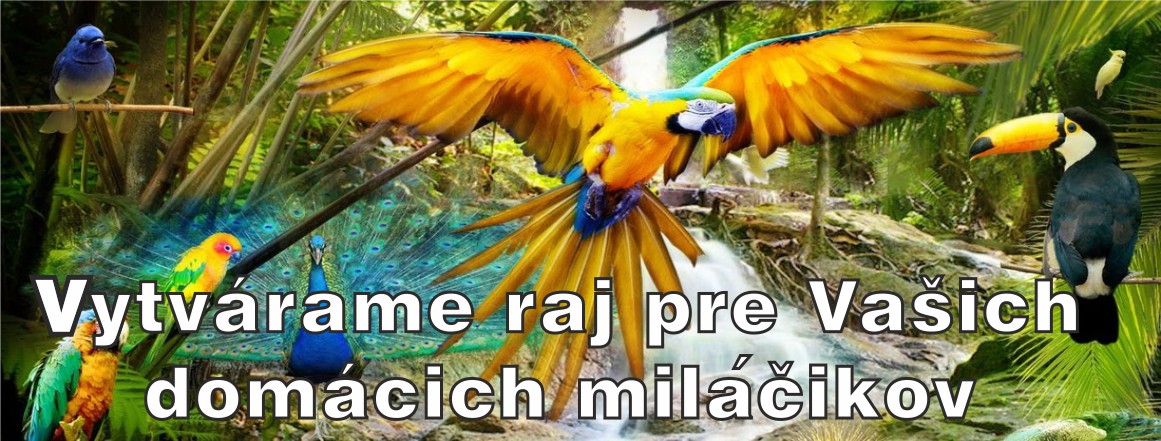 Vytvárame raj pre Vašich domácich miláčikov