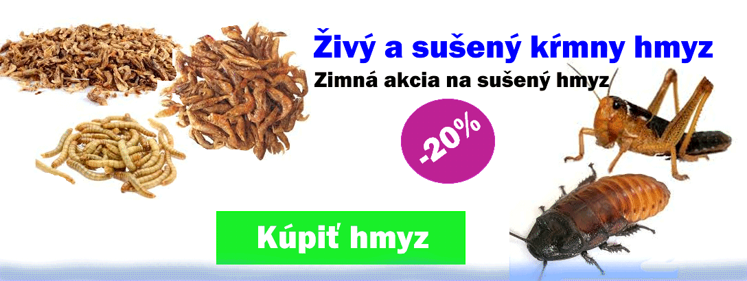 Kŕmny hmyz