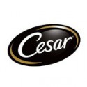 cesar