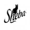 sheba