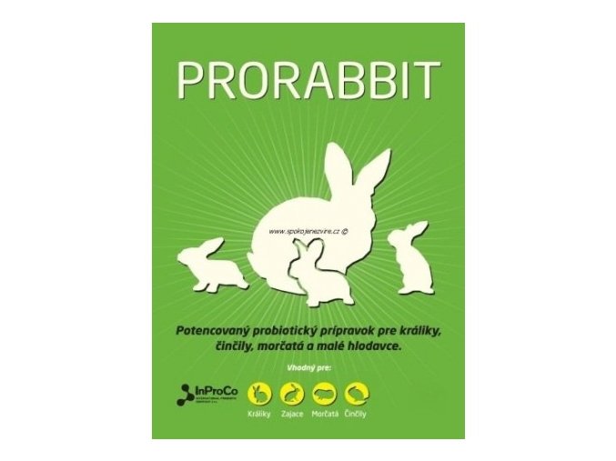 prorabbit plv 1kg