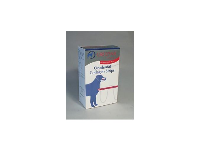 Orozyme enzymatické plátky žuvacie L 141g