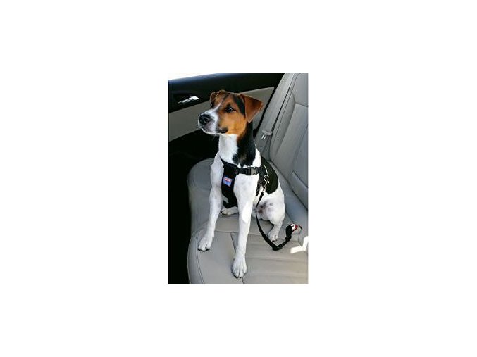 Postroj pes bezpečnostný do auta M Zolux