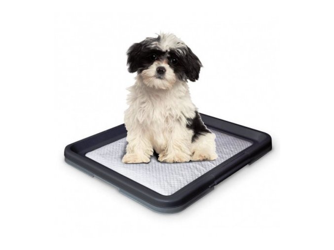 Nobby Doggy Trainer Small psí toaleta 48 x 41 x 3,5 cm