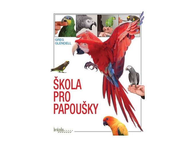 Škola pro papoušky (česky)