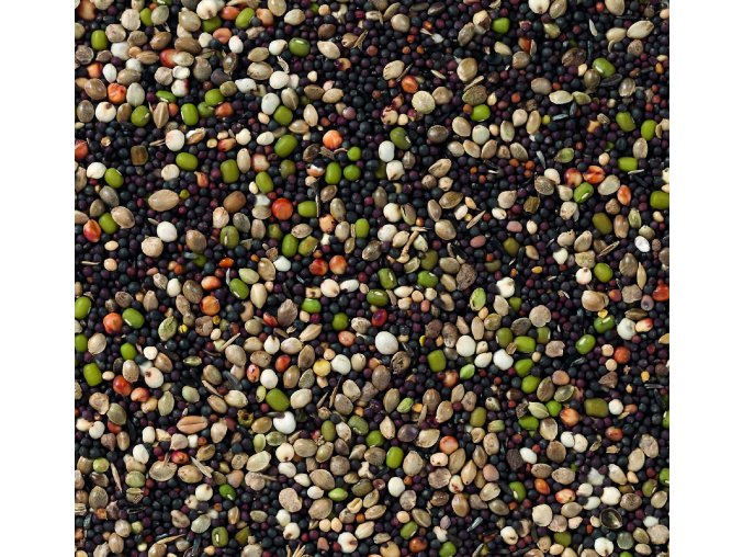 Deli Nature 82 - Canary Germination Seeds