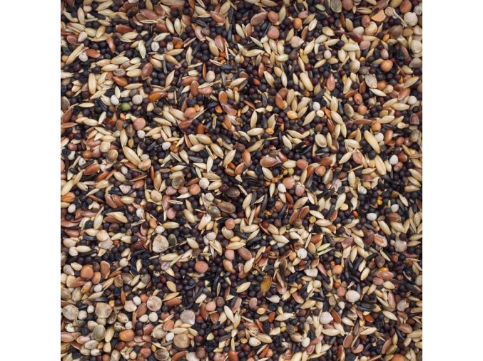 Deli Nature 99 British Finsches Basic