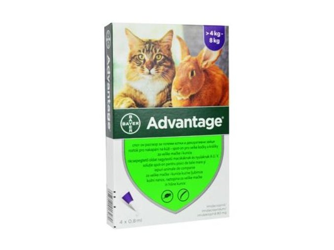 Advantage 80 10% 4x0,8ml pre mačky nad 4kg