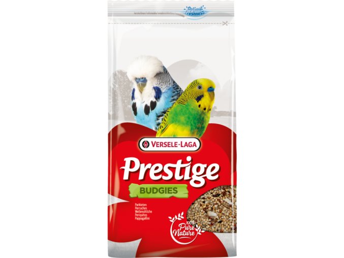 VL Prestige Budgies