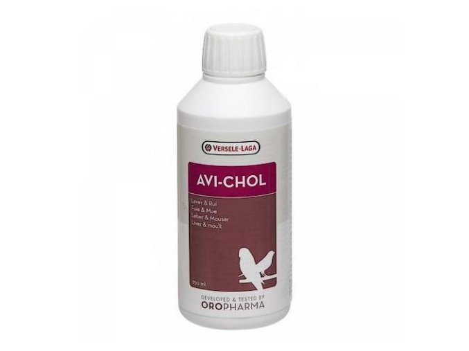 Avi Chol - 250ml