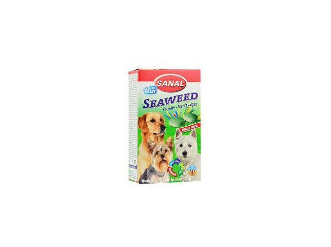 Sanal pes Garlic s cesnakom a vitamínmi 100tbl