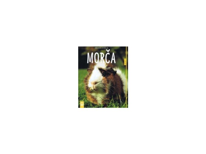 Morča- ako na to