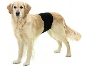 Nohavice pre psov proti značkovaniu 40x10cm 1ks KAR