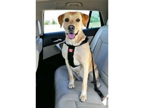 Postroj pes bezpečnostný do auta XL Zolux