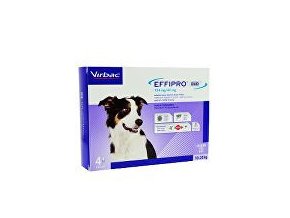 Effipro DUO Dog M (10-20kg) 134/40 mg, 4x1,34ml