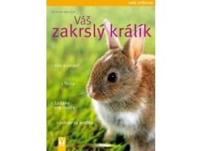 vas zakrsly kralik vase zviratko