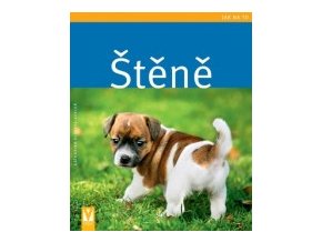 stene