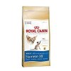 Royal canin Breed Feline Siamese  2kg