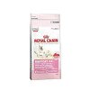 Royal canin Kom. Feline Babycat  2kg