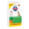 hill s canine dry puppy growth large breed 11kg