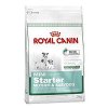 Royal canin Kom. Mini Starter 1kg