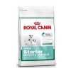 Royal canin Kom. Mini Starter 3kg