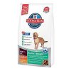 Hill's Canine Dry Adult Perfect Weight Large 12kg