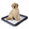 Nobby Doggy Trainer Large toaleta 62,5 x 48 x 3,8 cm