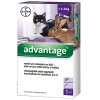 Advantage 80 10% 1x0,8ml pre mačky nad 4kg
