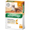 Advantage 40 10% 4x0,4ml pre mačky do 4kg