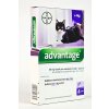 Advantage 80 10% 4x0,8ml pre mačky nad 4kg