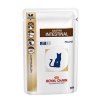 Royal Canin VD Feline Gastro Intest 12x100g kaps