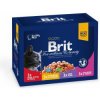 Brit Premium Cat kapsa Family Plate 1200g (12x100g)