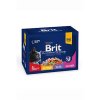 Brit Premium Cat kapsa Family Plate 1200g (12x100g)