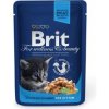 Brit Premium Cat kapsa Chicken Chunks for Kitten 100g