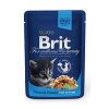 Brit Premium Cat kapsa Chicken Chunks for Kitten 100g