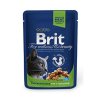 Brit Premium Cat kapsa Chicken Slices for Steril 100g