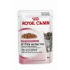 Royal canin Kom. Feline Kitten Inst kaps v želé 85g