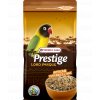 VL African Parakeet Loro Parque Mix