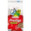 VL Prestige Budgies
