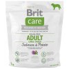 Brit Care Dog Grain-free Adult LB Salmon & Potato 1kg