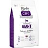 Brit Care Dog Grain-free Giant Salmon & Potato 3kg
